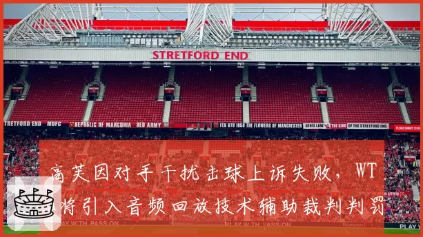 高芙因对手干扰击球上诉失败,WTA将引入音频回放技术辅助裁判判罚
