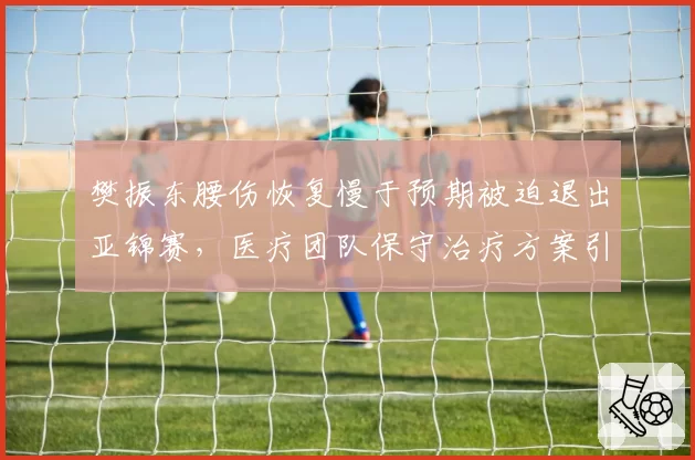樊振东腰伤恢复慢于预期被迫退出亚锦赛,医疗团队保守治疗方案引前国手质疑