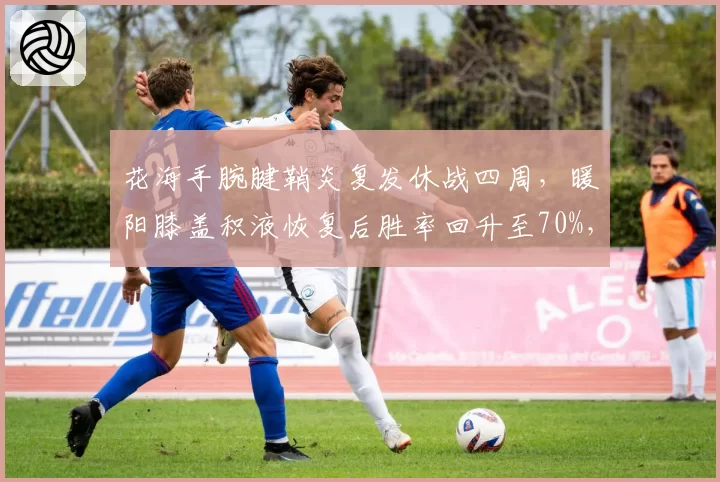 花海手腕腱鞘炎复发休战四周，暖阳膝盖积液恢复后胜率回升至70%，KPL打野伤停影响对比