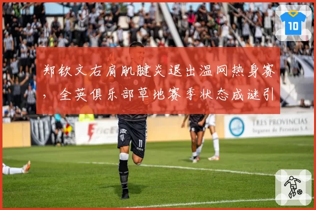 郑钦文右肩肌腱炎退出温网热身赛，全英俱乐部草地赛季状态成谜引关注
