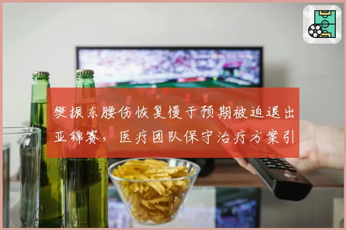 樊振东腰伤恢复慢于预期被迫退出亚锦赛，医疗团队保守治疗方案引前国手质疑